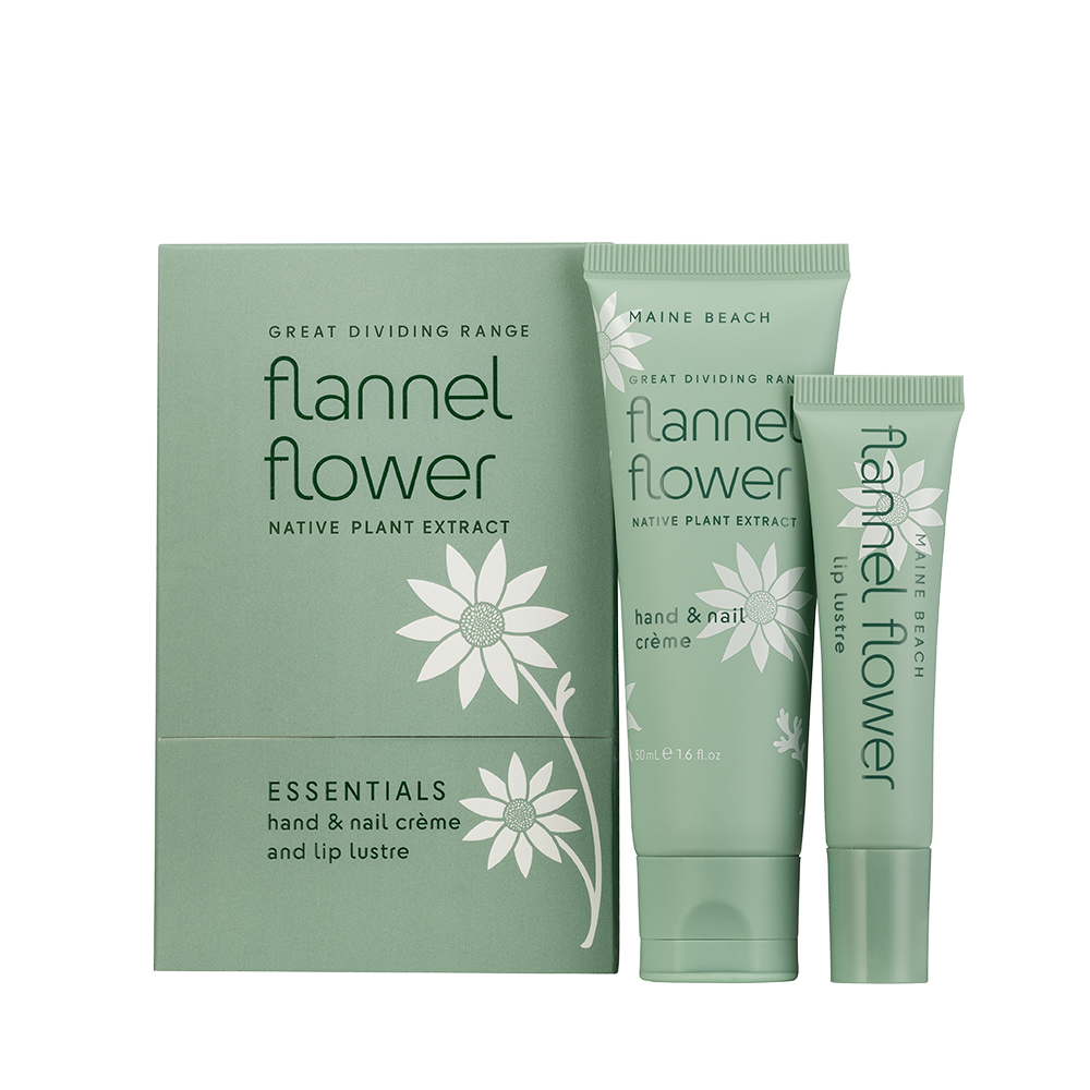 Flannel Flower - Essentials Pack