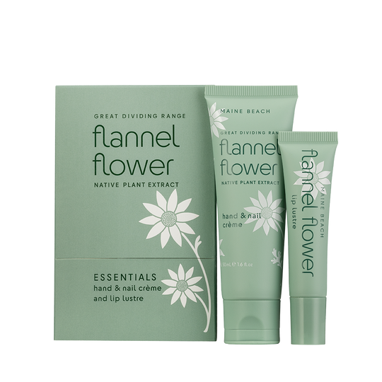 Flannel Flower - Essentials Pack