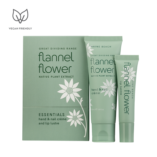 Flannel Flower - Essentials Pack